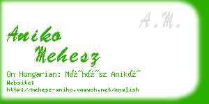 aniko mehesz business card